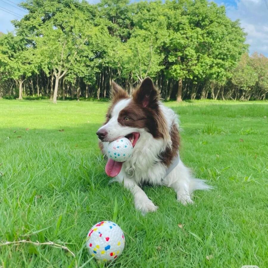 Pet Spherical Toy, Ball Shaped Dog Chew Toy, Solid Corn Ball For ...