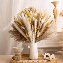 72/100 pièces Herbe de Pampas naturelle séchée, décoration boho pour la maison, bouquet de fleurs. Fleurs séchées de roseau pour mariage, décoration de la maison, décoration printanière, Saint-Valentin