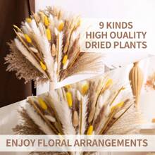 72/100 pièces Herbe de Pampas naturelle séchée, décoration boho pour la maison, bouquet de fleurs. Fleurs séchées de roseau pour mariage, décoration de la maison, décoration printanière, Saint-Valentin