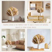 72/100 pièces Herbe de Pampas naturelle séchée, décoration boho pour la maison, bouquet de fleurs. Fleurs séchées de roseau pour mariage, décoration de la maison, décoration printanière, Saint-Valentin