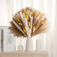 72/100 pièces Herbe de Pampas naturelle séchée, décoration boho pour la maison, bouquet de fleurs. Fleurs séchées de roseau pour mariage, décoration de la maison, décoration printanière, Saint-Valentin
