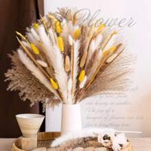 72/100 pièces Herbe de Pampas naturelle séchée, décoration boho pour la maison, bouquet de fleurs. Fleurs séchées de roseau pour mariage, décoration de la maison, décoration printanière, Saint-Valentin