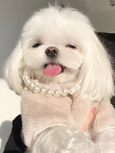 Colar de pérolas falsas de 14 mm para animais de estimação, acessório clássico para cães e gatos