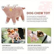 Jouet en peluche pour chien en fibre de maïs, jouet en peluche mignon et durable en forme de cochon avec couinement, fournitures pour l'entraînement des chiens, jouet de compagnie pour animaux de compagnie pour soulager l'ennui - Multicolore - Voir 5
