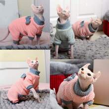 1 件无毛猫 T 恤连衣裙，透气猫背心衬衫，撞色蝴蝶结设计适合小型、中型和大型猫