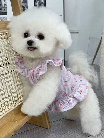 Ropa para mascotas, gatos, Bichón Frise, perros pequeños - Chaleco ligero con diseño a rayas de oso de colores, apto para primavera/verano/otoño/invierno