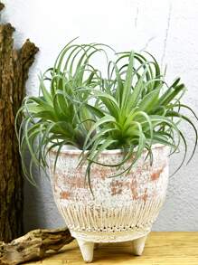 1/2/3/4pcs Artificial Succulents, Fake Air Plants, Pineapple Grass, Outdoor Artificial Plants, Suitable For Autumn Decor, Halloween Decor, Room Decor, Home Decor, Bedroom Decor, Outdoor Decor, Kitchen Decor, Graduation Decor, Christmas Decor, Outdoor Patio Decor, DIY, Room Decor Aesthetics, Wedding Decor, Wall Decor, Garden Decor, Windowsill Greenery Decor, Summer Green Potted Plant Decor, Event Party Decor - Green - View 3