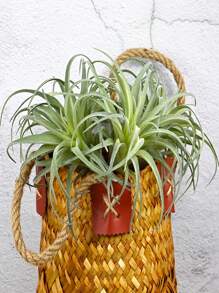 1/2/3/4pcs Artificial Succulents, Fake Air Plants, Pineapple Grass, Outdoor Artificial Plants, Suitable For Autumn Decor, Halloween Decor, Room Decor, Home Decor, Bedroom Decor, Outdoor Decor, Kitchen Decor, Graduation Decor, Christmas Decor, Outdoor Patio Decor, DIY, Room Decor Aesthetics, Wedding Decor, Wall Decor, Garden Decor, Windowsill Greenery Decor, Summer Green Potted Plant Decor, Event Party Decor - Green - View 5
