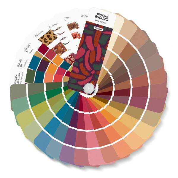 Cartela De Cores Mini Coloração Pessoal - Outono Escuro
