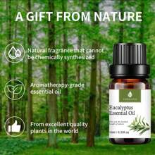 1 Pieza Juego de Aceites Esenciales - Aceites Esenciales 100% Naturales - Perfecto para Difusor, Humidificador, Aromaterapia, Hacer Velas y Jabones DIY, La Intensidad del Olor se Produce Según la Fórmula Estándar, Por Favor Compra Según se Requiera
