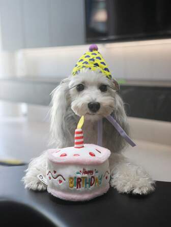 nicovaer 1pc Pink Realistic Birthday Cake Plush Toy With Sound, "HAPPY BIRTHDAY" Embroidery, BB Device + Crinkle Paper For Sound, Heart Embroidery, 3D Birthday Candle, Pet Interactive Toy For Cats & Dogs, Birthday Gift, Cat Toys, Dog Toys, Cake Plush Toy, Beach, Sun, Travel, Cool