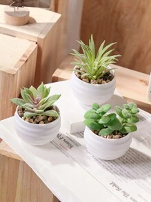 3件組人造迷你多肉植物，綠色多肉植物，白與黑盆，PE材質，人造植物，人造多肉植物，桌面裝飾，家居裝飾，花園裝飾，學校宿舍辦公室裝飾，母親節禮物，秋季感恩節聖誕節萬聖節多用途裝飾 - 白色 - 查看 5