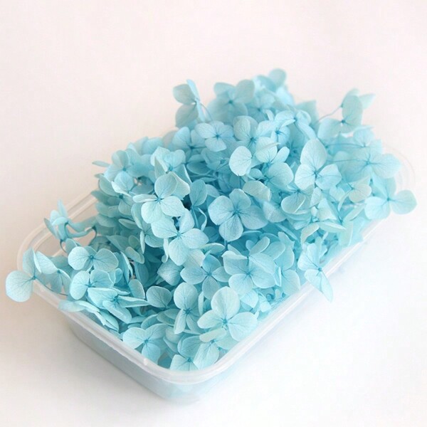 1 Box hochwertige mehrfarbige getrocknete Hortensien - ideal für DIY Basteleien, Kerzen, Hochzeiten, DIY Hortensien Material Sets, Heim-, Schlafzimmer-, Hochzeits- und Tischdekorationen