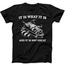 It Is What It Is And It's Not Great Raccoon Funny Gift Black Tee T Shirt 173