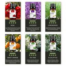 1 Pieza Juego de Aceites Esenciales - Aceites Esenciales 100% Naturales - Perfecto para Difusor, Humidificador, Aromaterapia, Hacer Velas y Jabones DIY, La Intensidad del Olor se Produce Según la Fórmula Estándar, Por Favor Compra Según se Requiera