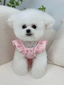 Ropa de mascota (gato/perro pequeño) con estampado de oso a rayas de colores, chaleco delgado para primavera/verano y otoño/invierno