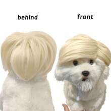 宠物假发，狗假发配件装饰搞笑道具宠物用品假发帽猫用帽子 - 金色 - 查看 3