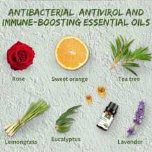 1 Pieza Juego de Aceites Esenciales - Aceites Esenciales 100% Naturales - Perfecto para Difusor, Humidificador, Aromaterapia, Hacer Velas y Jabones DIY, La Intensidad del Olor se Produce Según la Fórmula Estándar, Por Favor Compra Según se Requiera