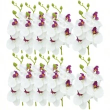 1PC/3PCS 人造花-蝴蝶兰、蚕丝蝴蝶兰、假植物、家居、餐厅、客厅、户外花园装饰、插花艺术、摄影道具、秋季、春季、花瓶、花墙、花环、新娘花束、婚礼装饰、DIY 花环材料、生日派对装饰材料、家居装饰配件、情人节、新年礼物 - 彩色 - 查看 32