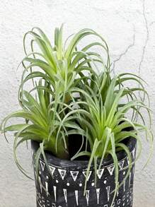 1/2/3/4pcs Artificial Succulents, Fake Air Plants, Pineapple Grass, Outdoor Artificial Plants, Suitable For Autumn Decor, Halloween Decor, Room Decor, Home Decor, Bedroom Decor, Outdoor Decor, Kitchen Decor, Graduation Decor, Christmas Decor, Outdoor Patio Decor, DIY, Room Decor Aesthetics, Wedding Decor, Wall Decor, Garden Decor, Windowsill Greenery Decor, Summer Green Potted Plant Decor, Event Party Decor - Green - View 6