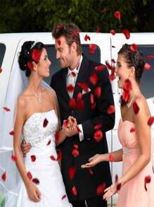 20/50/100/200pcs,Claret Artificial Flowers Silk Rose Petals For Weddings, Bridal Showers & Parties,Aisle Runners & Confetti , Proposals & Romantic Nights,Mother's Day Gift Decorations