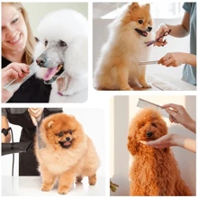 1 pièce Peigne de toilettage pour chien en acier inoxydable long avec brossage enlevage des poils épais et brossage de 19 cm, peigne de démêlage pour toilettage des chats et des chiens pour animaux aux poils hirsutes, élimine doucement le sous-poil desserré et la puce.