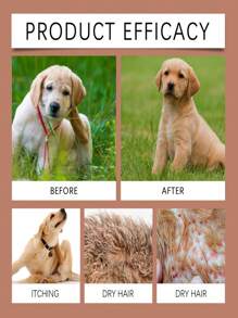 YEGBONG 1pc/100ml Dog Shampoo, Gentle Cleansing Pet Dog Hair Shampoo, Nourishing And Softening, Long-Lasting Deodorizing, Deep Cleaning To Remove Dirt And Grease, Maintain Fresh Scent