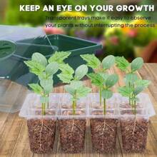 3pcs/Set 12-Hole Seeding Tray, Multi-Purpose Planting Box For Your Garden - Vegetables, Fresh Flowers, Seedlings, Cuttings, 3-Piece Set Includes Cover, Insulation Layer And Moisture Board For Optimal Germination
