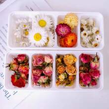 1 pieza Flores de caléndula secas de 210g/paquete o 310g/paquete, adecuadas para velas decorativas DIY, jabones, baños, bodas, confeti, fragancias para el hogar, manualidades - Ramo de flores secas (1 pieza) - Ver 3