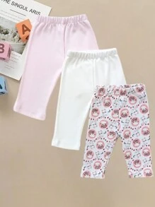 Rosa coral
