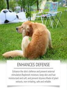 YEGBONG 1pc/100ml Dog Shampoo, Gentle Cleansing Pet Dog Hair Shampoo, Nourishing And Softening, Long-Lasting Deodorizing, Deep Cleaning To Remove Dirt And Grease, Maintain Fresh Scent