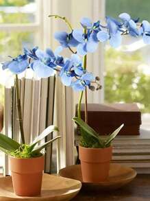6PCS Artificial Flowers Orchid Stems Bulk Real Touch Large Orchid  For Tall Vase For Home Wedding Decoration Home Wedding Decoration - Baby Blue - View 1