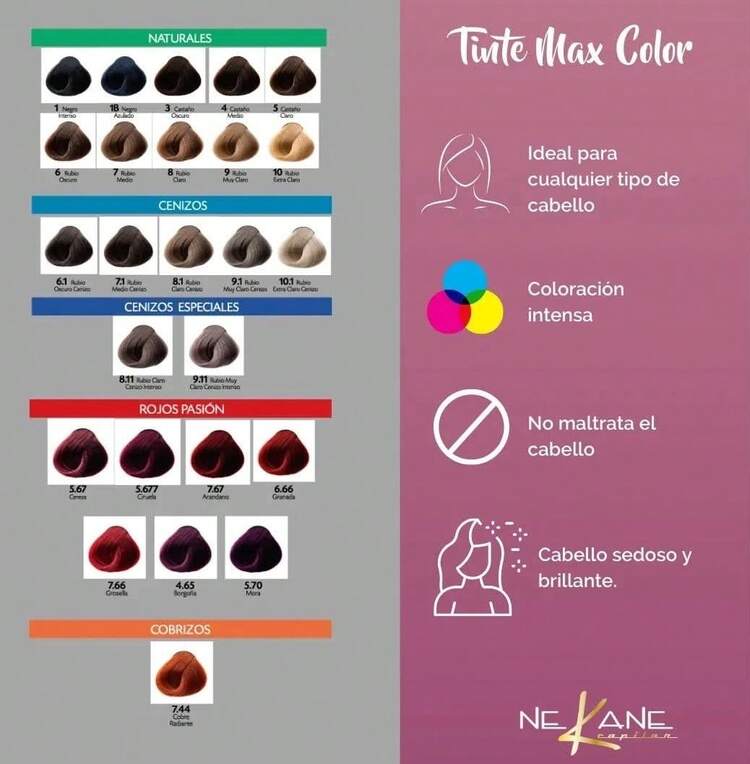 Nekane Max Color Professional Permanent Cream Dye And Brush Kit, Excellent For Gray Coverage, 90gr Tube + 20 Vol. Peroxide. - 8.1 Tóc vàng tro nhạt - Xem 7