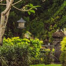 Gray , Hopper Wild Bird Feeder, 2.5 Lb. Capacity