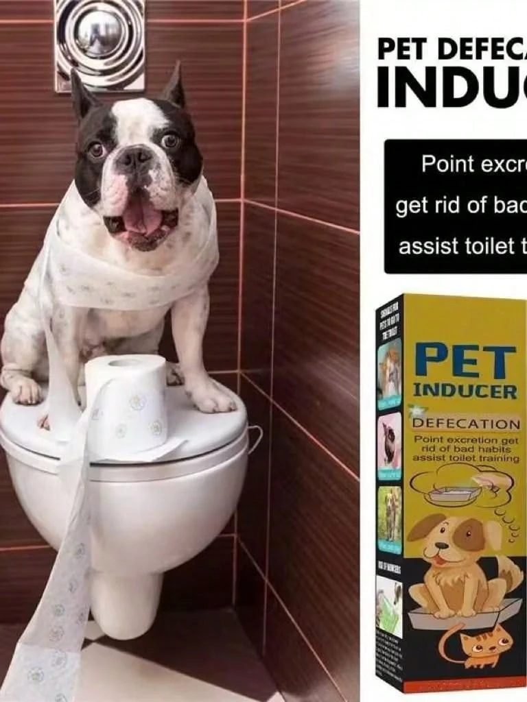 Pet Cat & Dog Toilet Training Attractant, Litter Box Training Aid For ...