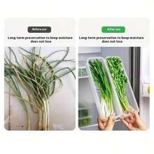 1-10pcs Parsley/Scallion Storage Box, Refrigerator Freshkeeper Box, Thickened Noodle And Egg Storage Box, Sutiable To Use In Kitchen, Kitchen Storage Goods
