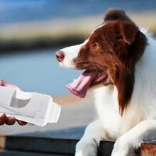 Portable Dog Water Bottle With Food Container Large Capacity Puppy Water Dispense Food Feeder Foldable Pet Drinking Cup