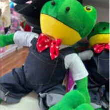 Rene Peluche Ranita Rana Saltarina de Rio del Campos Rhenne nuevo - Verde - Ver 3