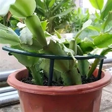 8pcs Plastic Plant Support Rings, Suitable For Greenhouse Garden, Semi-Circular Fixed Rod For Indoor Flowers & Climbing Plants, Flexible & Adjustable Bonsai Tool, Easy To Adjust Height