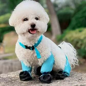 四季户外狗鞋/靴，防滑防尘，小狗爪子保护器，适合遛狗