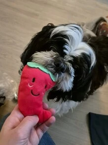 辣椒形寵物發聲玩具寵物吱吱聲玩具辣椒形狗玩玩具狗互動玩具 - 彩色 - 查看 9