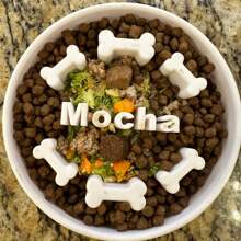 Custom Slow Feeder Dog Bowl - Personalized Dog Bowl With Name - Ideal Slow Feeder For Large And Small Breeds - Unique Design For Healthy Eating Ornamental,Engraved,Stainless Stylish,Fashion,Colorful,Vintage,Cute,Contracted,Cuties Custom,Unique,Customized,Personalized Pet For Anniversaries,For Birthdays