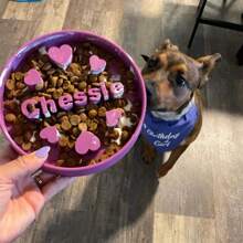 Custom Slow Feeder Dog Bowl - Personalized Dog Bowl With Name - Ideal Slow Feeder For Large And Small Breeds - Unique Design For Healthy Eating Ornamental,Engraved,Stainless Stylish,Fashion,Colorful,Vintage,Cute,Contracted,Cuties Custom,Unique,Customized,Personalized Pet For Anniversaries,For Birthdays