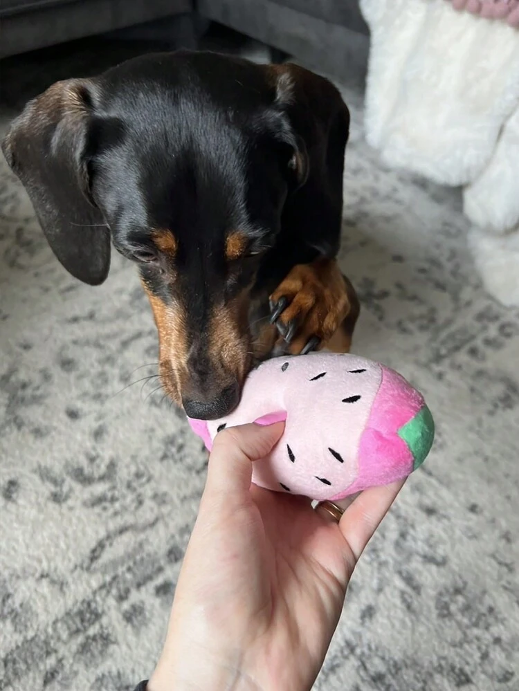 1pc Watermelon Shaped Sound Making Toy For Pet Playtime