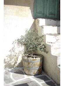 1pc Italy Coastal Landscape Olive Green Aesthetic Botanical Nature Photography Poster Canvas Painting Wall Art Pictures Home Decor No Frame - Multicolor - View 14