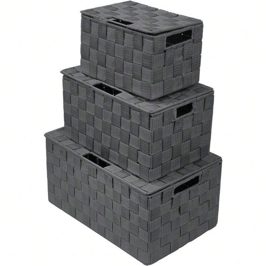 Storage Bins With Lids