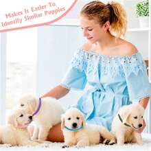 16 bucăți zgarda de identificare pentru câini de talie mică ajustabilă, zgarda de identificare pentru animale de companie pentru căței, pisoi, animale de companie nou-născute, multicolore