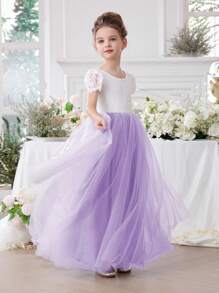 Young Girl Lace Trim V-Neck Mesh Princess Dress, Suitable For Birthday Party, Valentine's Day Gift, Prom, Party, Important Occasions, Holiday Celebration, Stage Performance