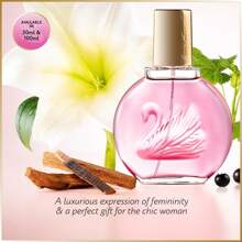 Gloria Vanderbilt Minuit À New York - Eau De Parfum - 100ml - Free Delivery In 1-3 Days