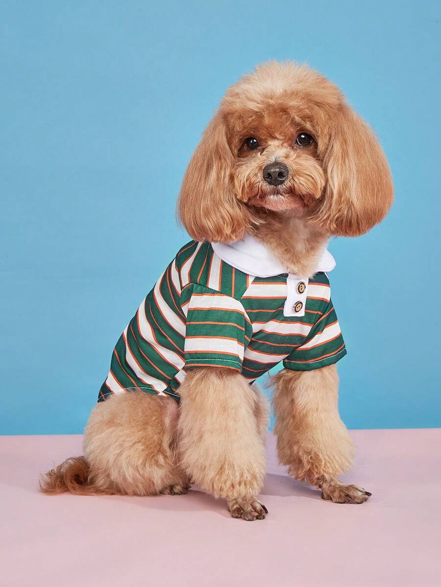 1件条纹Polo衫，猫狗通用，ins风宠物服装 - 彩色 - 查看 1